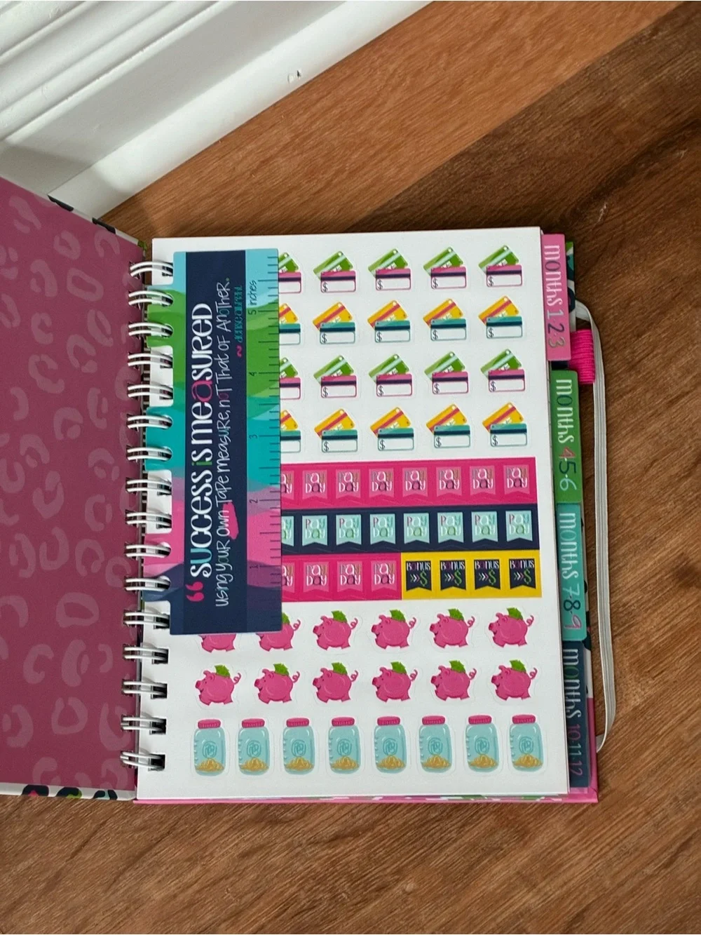 Denise Albright 12-Month Budget Planner, Bill & Expense Tracker, Undated, NWT